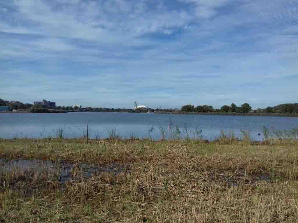 A lake in Flushing Meadows