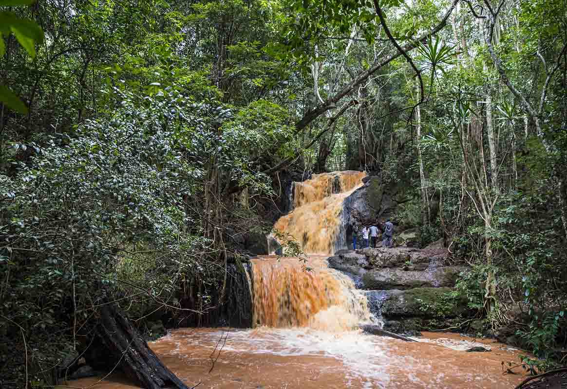 Karura Forest